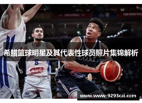 希腊篮球明星及其代表性球员照片集锦解析