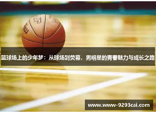篮球场上的少年梦：从球场到荧幕，男明星的青春魅力与成长之路