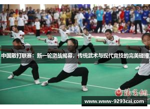 中国散打联赛：新一轮激战揭幕，传统武术与现代竞技的完美碰撞