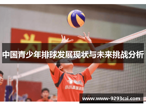 中国青少年排球发展现状与未来挑战分析